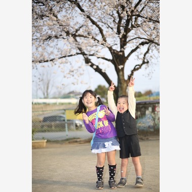 スタジオココンが撮影した「」の写真