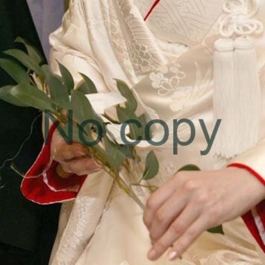 Photo taken by Free Dimension.Ltd - bridal shoot