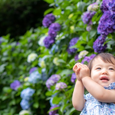 かわもとえつこが撮影した「ファミリーフォト」の写真