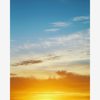 舞が撮影した「自然」の写真