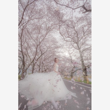 Photo taken by GRAPHYS - SAKURA