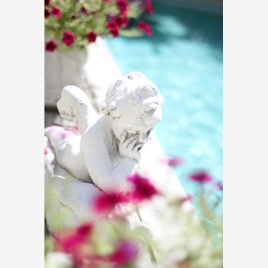 管野　利が撮影した「ウエディング」の写真