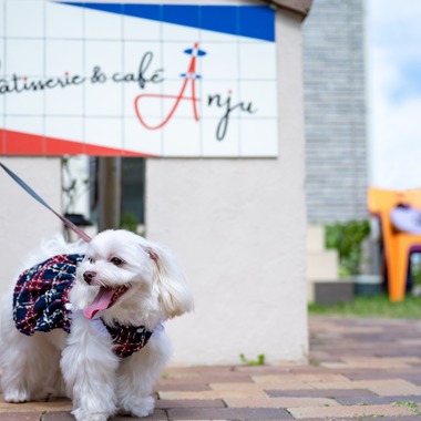 CREATIVE HOUSEが出張撮影した「ペット写真の出張撮影」の家族写真