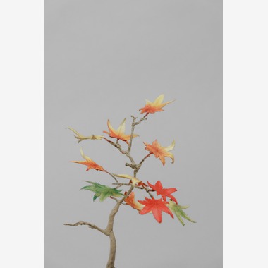 studio9thが撮影した「埼玉県川越市/革盆栽」の写真