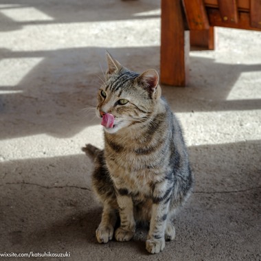 Katsuhiko Suzukiが撮影した「レソト王国」の写真