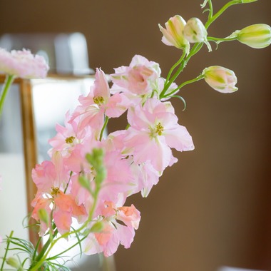 大橋　道裕が撮影した「ウエディングパーティー撮影」の写真