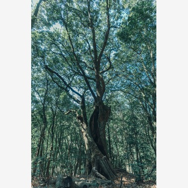 studio cactusが撮影した「農家 - 風景／商品／人物」の写真