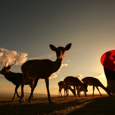 Photo taken by Hayashi Photo Works - 