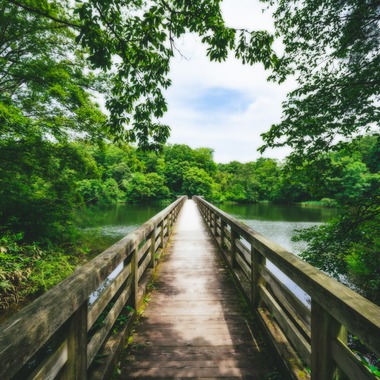 岡田　哲昇が撮影した「風景スナップ」の写真