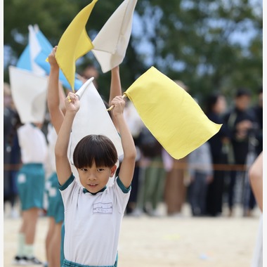えむあんりみてっどが撮影した「運動会」の写真