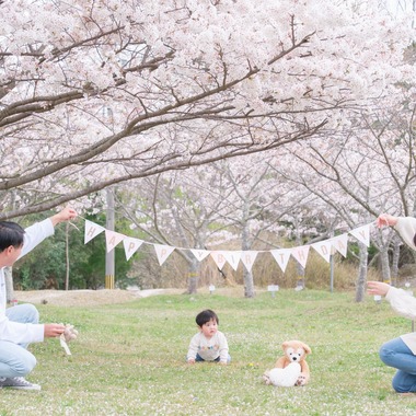 高夏写真店が出張撮影した「家族写真の撮影」の家族写真