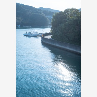 眞田 厚司が撮影した「風景」の写真