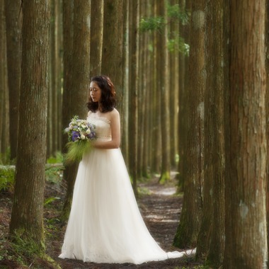 B WORKs PHOTOGRAPHY（丸山  隆史）が撮影した「フォトギャラリー」の写真