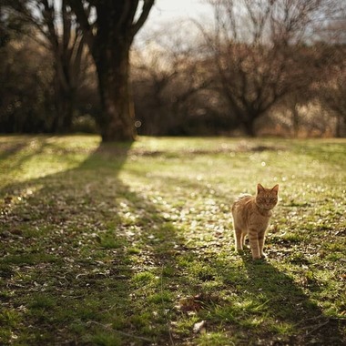どんじょ斉藤が撮影した「」の写真