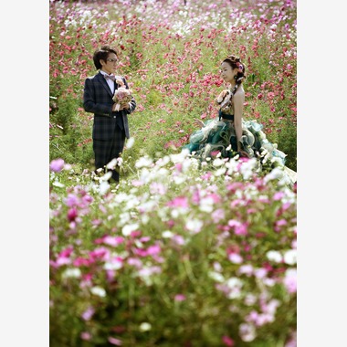 ササキタケシが撮影した「ウェディングドレス」の写真