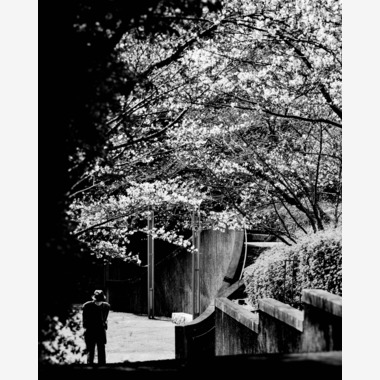 ハイナ　マテウスが撮影した「私の世界では」の写真