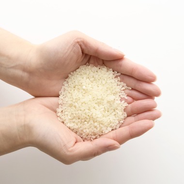 西城 泰輔が撮影した「料理写真」の写真