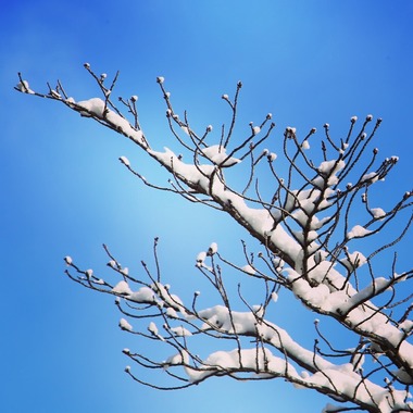 舞が撮影した「自然」の写真