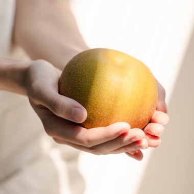 石田誠写真事務所が撮影した「料理撮影」の写真