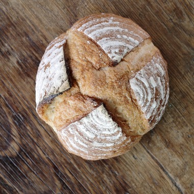 溝口哲央が撮影した「福岡パン」の写真