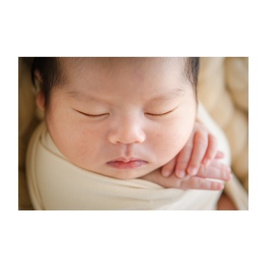 木曜日の写真館が撮影した「」の写真