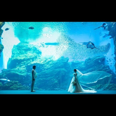 石澤 優雅が撮影した「Wedding scene」の写真