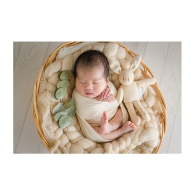 木曜日の写真館が撮影した「」の写真