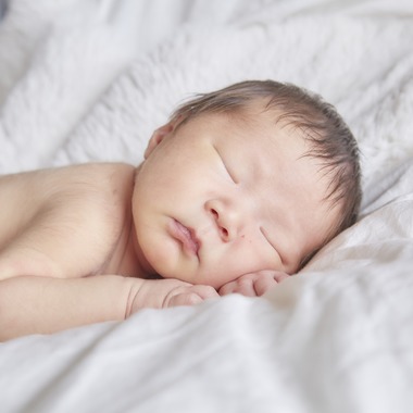 津田野 瑞希が撮影した「家族写真」の写真