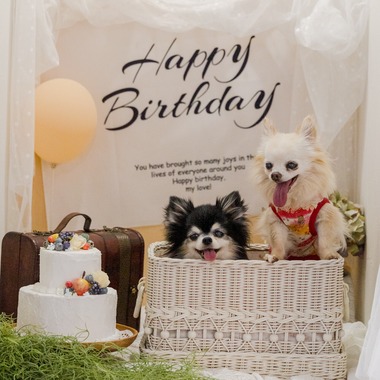 ちずカメラが出張撮影した「ペット」の家族写真