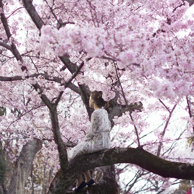 Reylia Slabyが撮影した「Variety 」のウェディングフォト