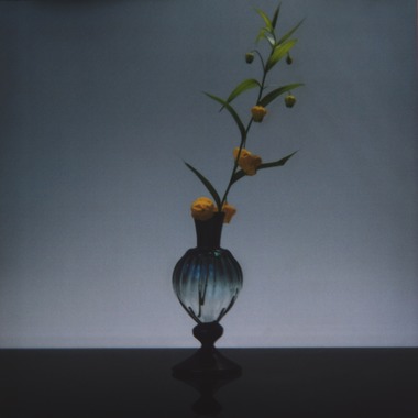 岡村公平が撮影した「物撮り」の写真