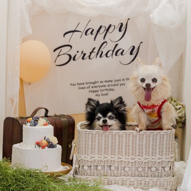 ちずカメラが出張撮影した「ペット」の家族写真