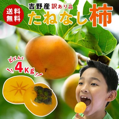 One-axeが撮影した「柿の商品撮影」の写真