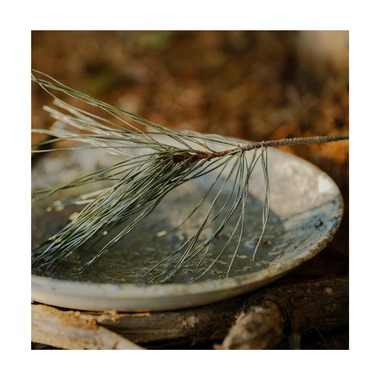 森位敦樹が撮影した「翼 - TSUBASA」の写真