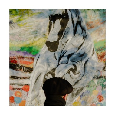 森位敦樹が撮影した「翼 - TSUBASA」の写真