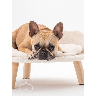 Photo Studio totteが撮影した「個人向け撮影」の写真