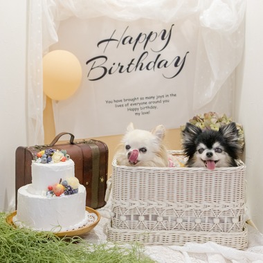 ちずカメラが出張撮影した「ペット」の家族写真