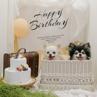 ちずカメラが出張撮影した「ペット」の家族写真