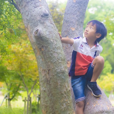 出張フォトCana-Lが撮影した「」の写真