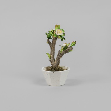 studio9thが撮影した「埼玉県川越市/革盆栽」の写真