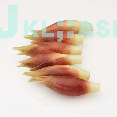 西原毅が撮影した「野菜、他」の写真