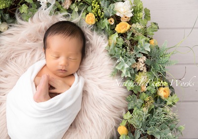https://emily.works/articles/newborn-photo-tokyo-plan