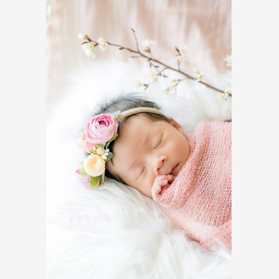 https://emily.works/articles/newborn-photo-kanagawa-plan