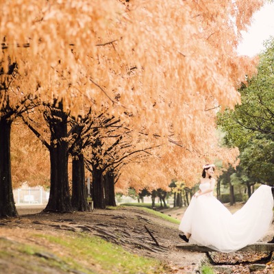 https://famarry.com/articles/The-Insiders-Guide-to-Autumn-Photo-Shoots-in-Japan