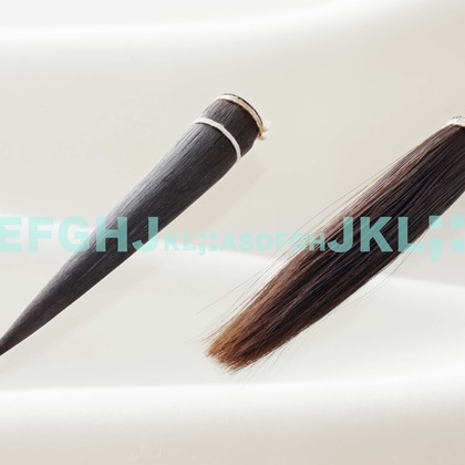 西原毅が撮影した「:albumName」の写真