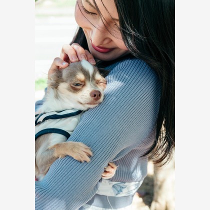 ポートレート沖縄が撮影した「:albumName」の写真