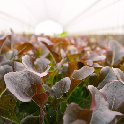 出張撮影TLaboが撮影した店舗/オフィス/サロン撮影/商品/物撮りの写真