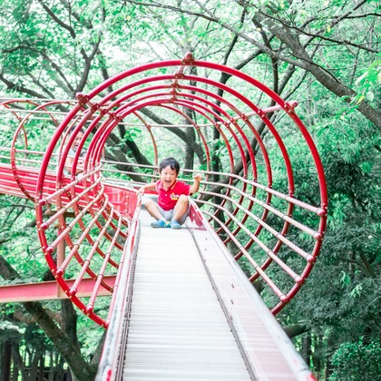 かわもとえつこが撮影した「:albumName」の写真