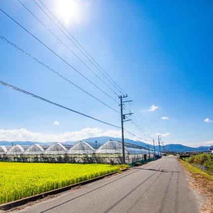 大森美紗生が撮影した店舗/オフィス/サロン撮影/商品/物撮りの写真