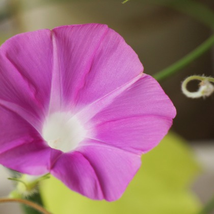 出張撮影のメモリーズが撮影した「:albumName」の写真